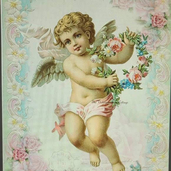 Meet your Posher, Tina - Picture 1 of 1